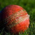 Are there any tools available that help with making accurate live cricket predictions?
